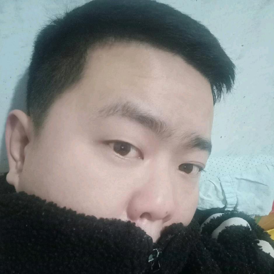 鴻——飛