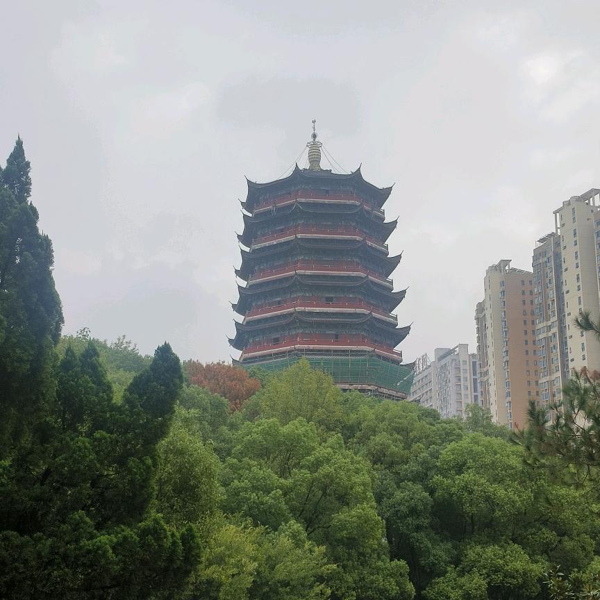 爱意随风起风止意难平