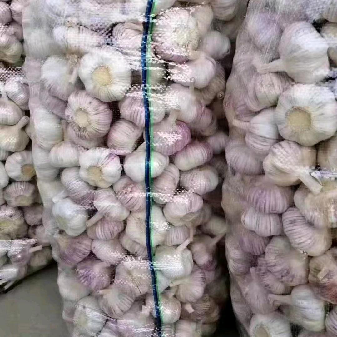 晟金蒜业