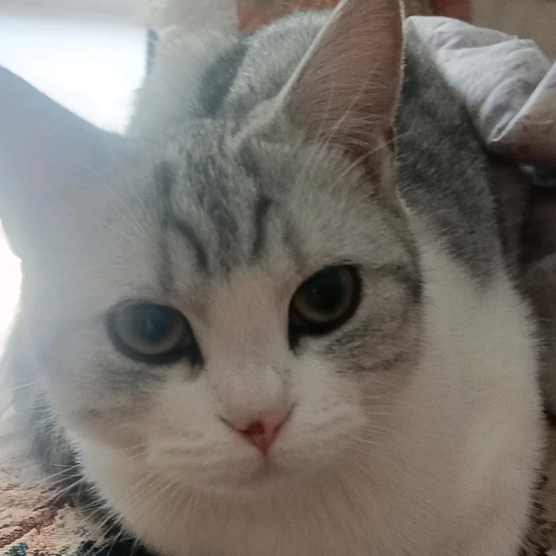 用户2125186094656美