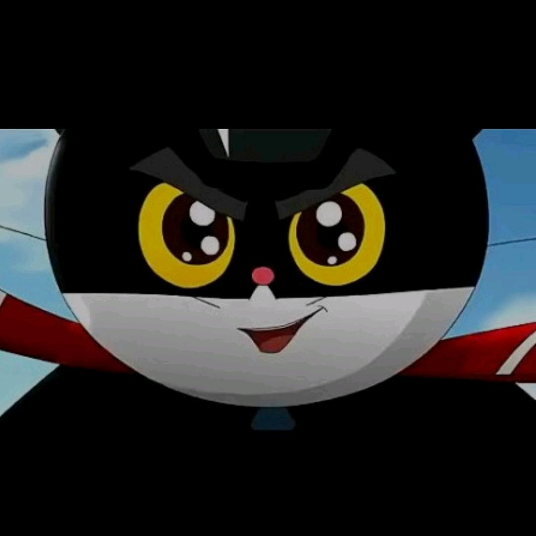 猫哥看球