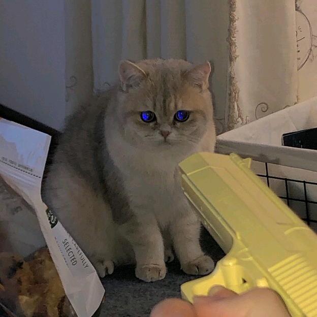 洁姐