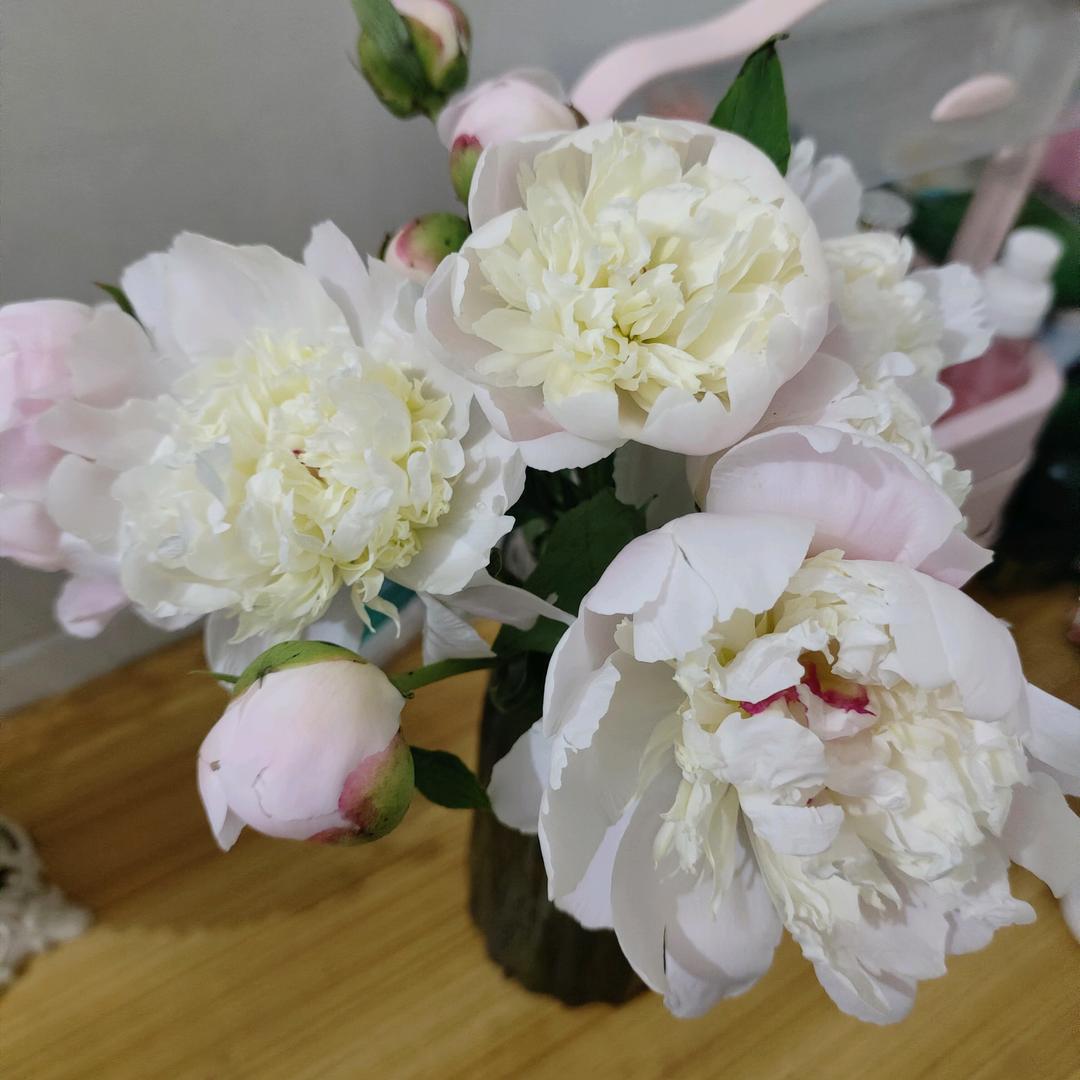 皮鞋