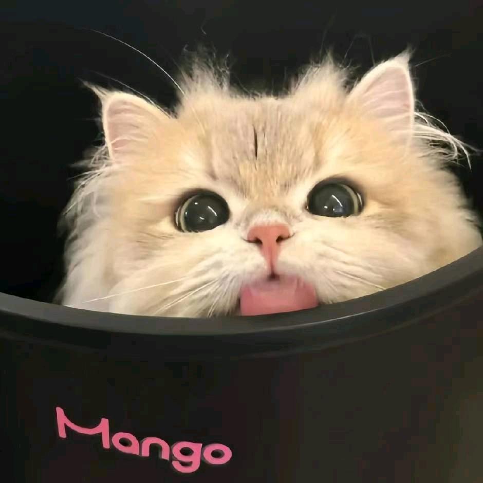 이자호