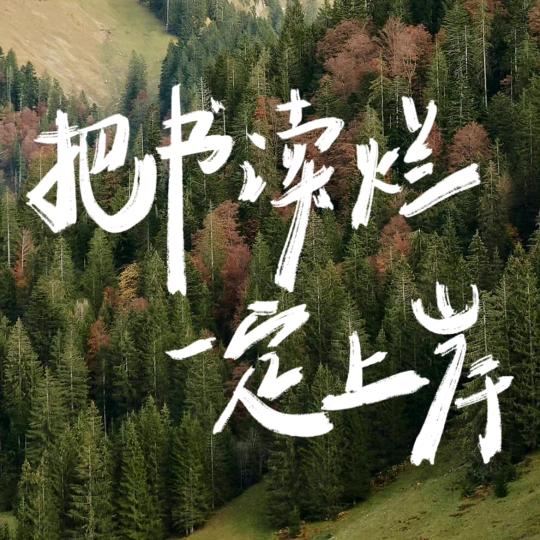 小W爱学习