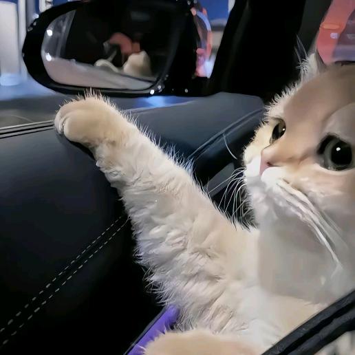 九日（饿了么得）