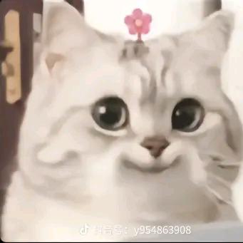 千楠栀