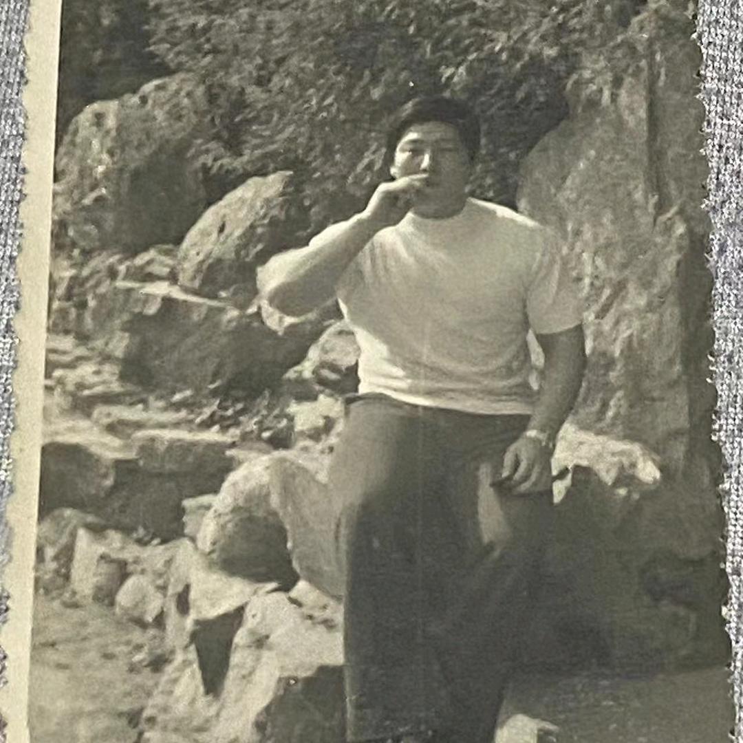 树林