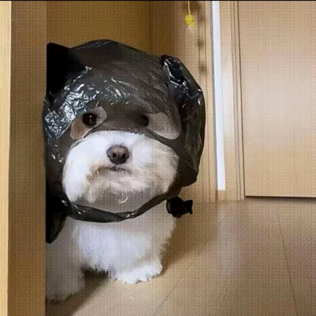 时过境迁