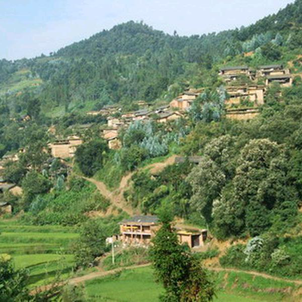 dykfvhgmpurk人艰不拆