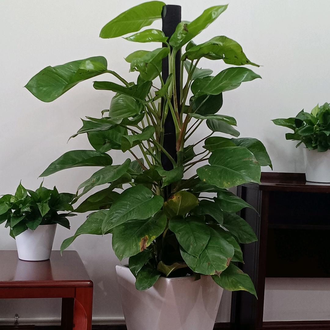 突围