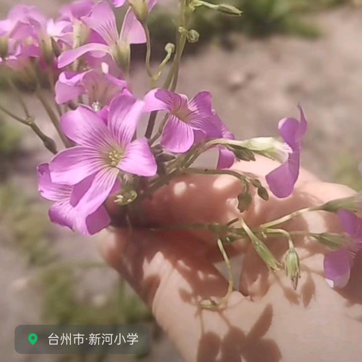 用户9420154873548