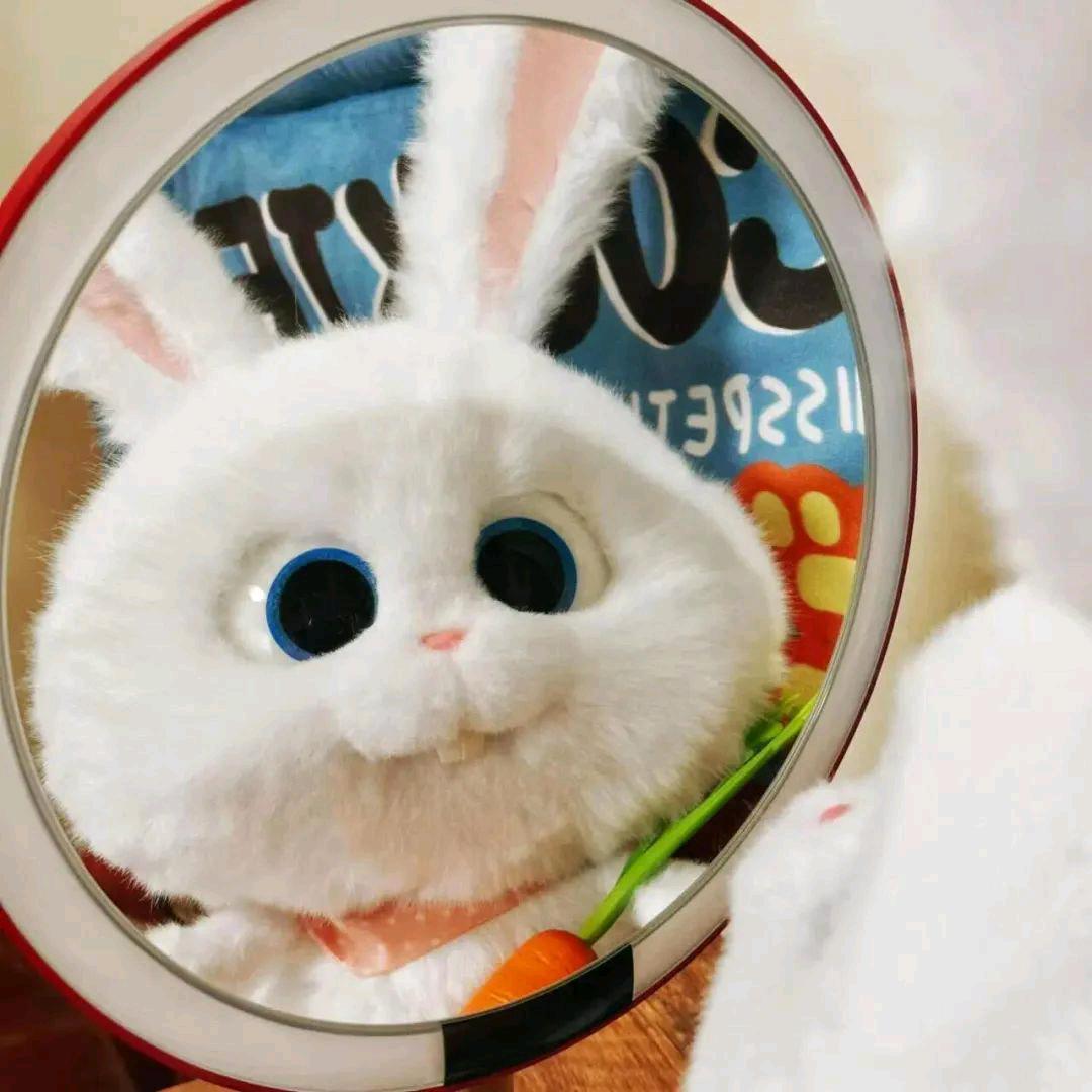 苏苏^0^