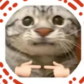 ≈猴哥