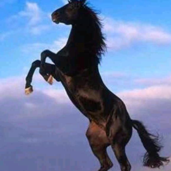 收旧空调移机加坲