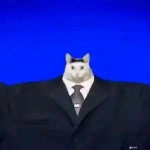 野比a梦