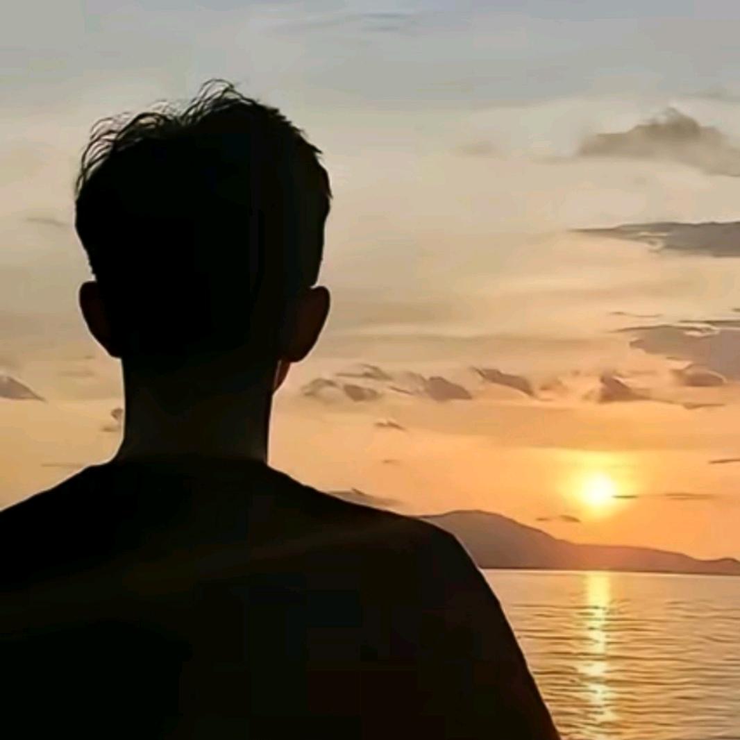 索野