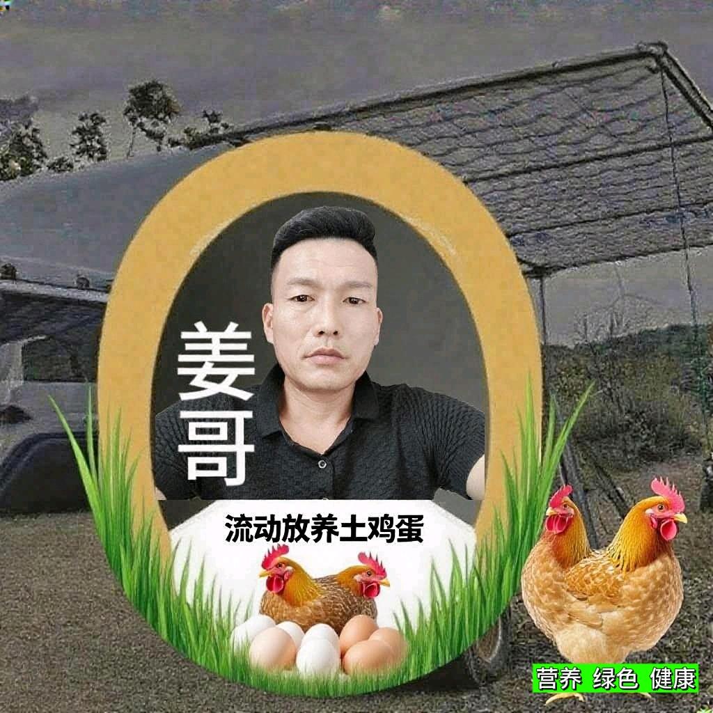 姜哥（流动放养土鸡）