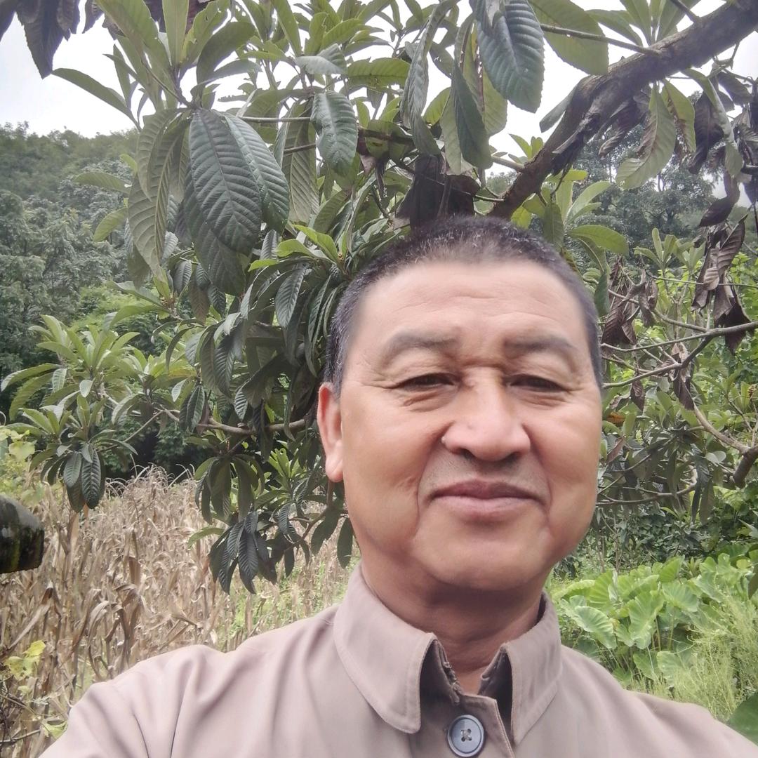 宜风为伴，顺其自然