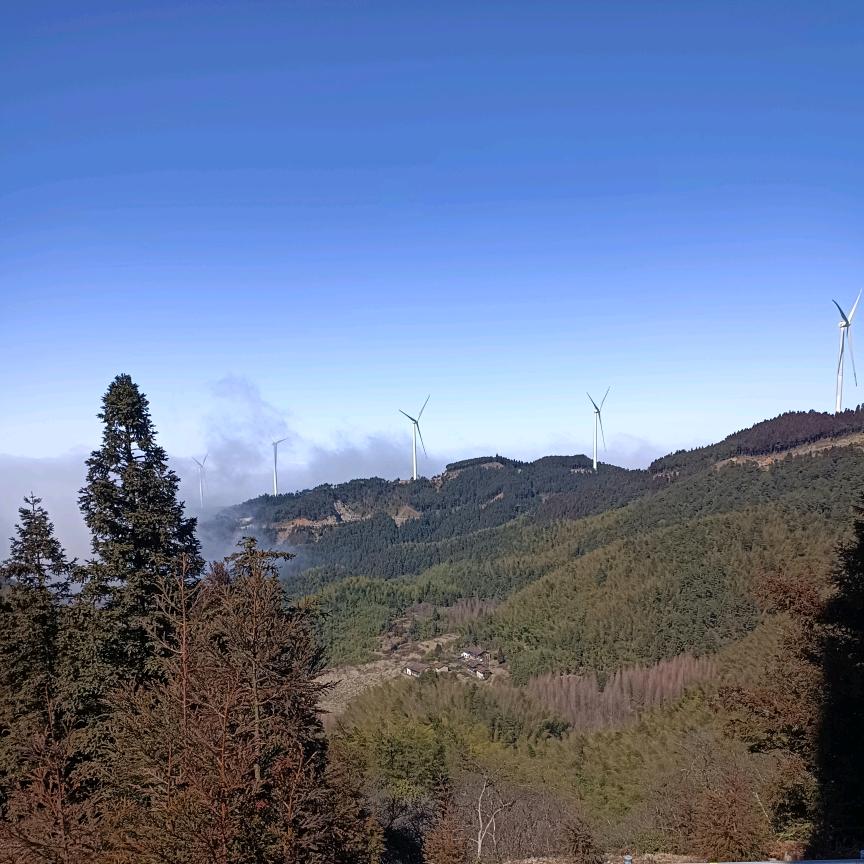 鸿仁堂甄选好物