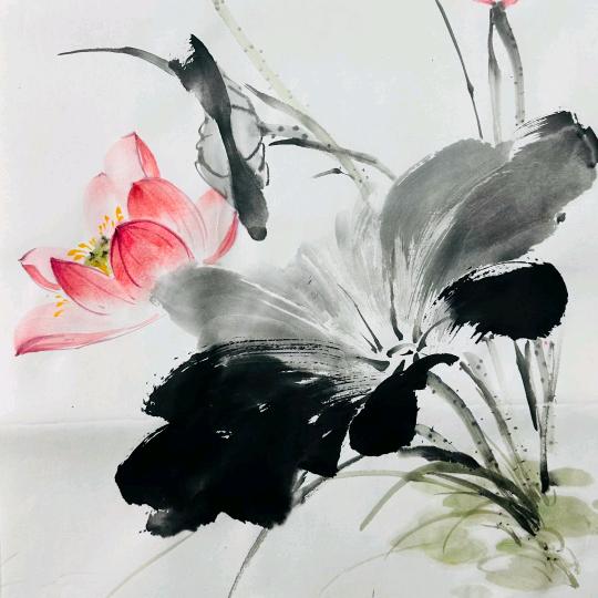 杨柳居士