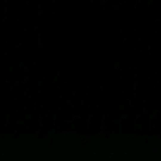 Abyss *
