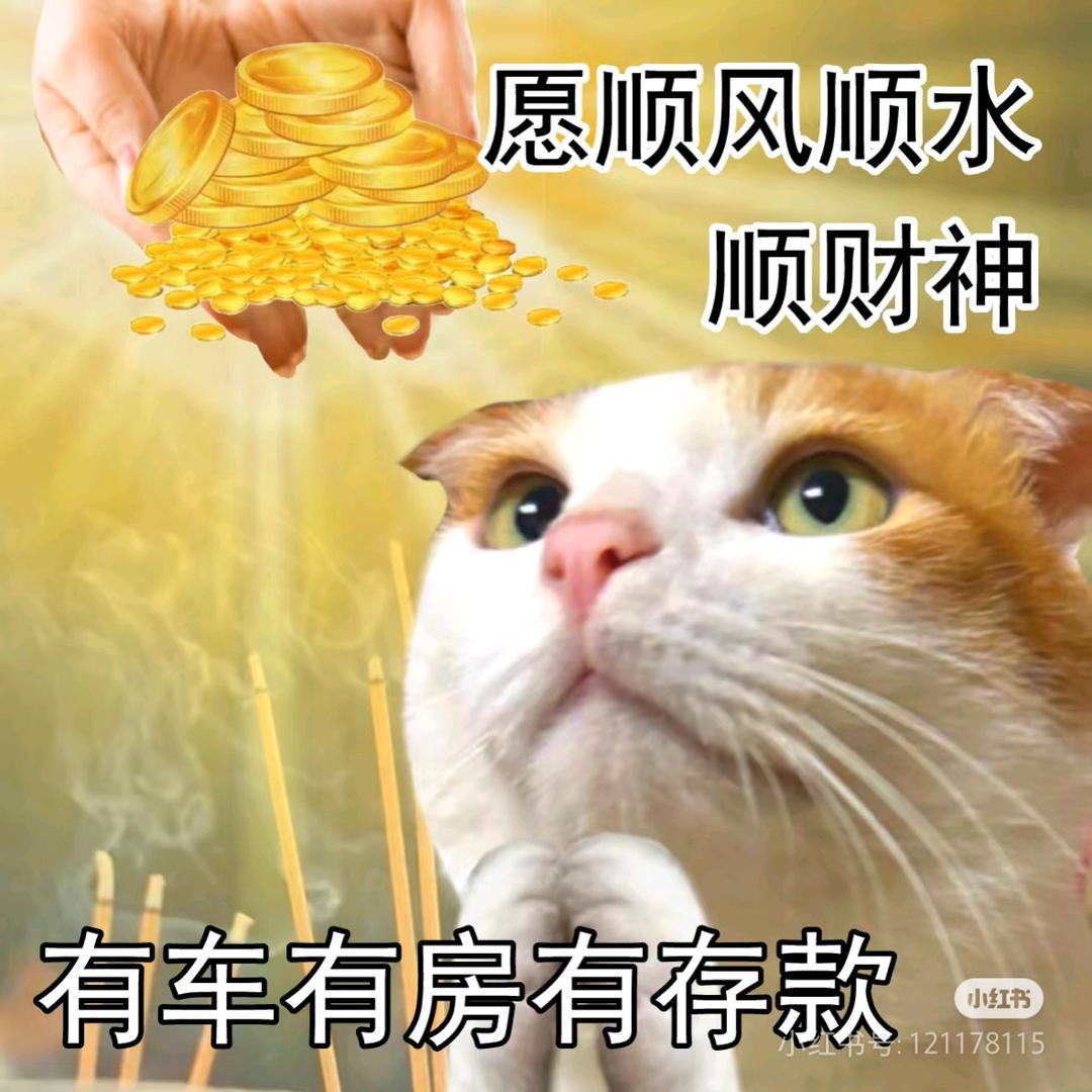 不发胖只发财💰