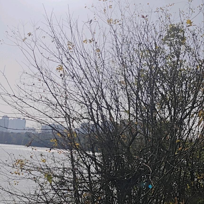 好运连连，财源滚滚