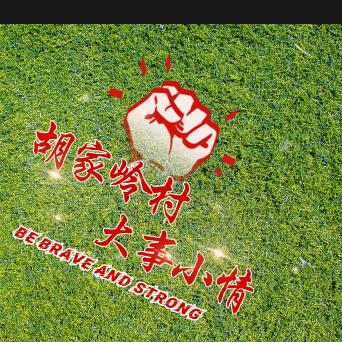 胡家岭新农村(大事小情)