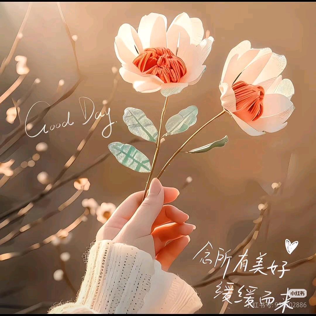 湉精灵舞蹈