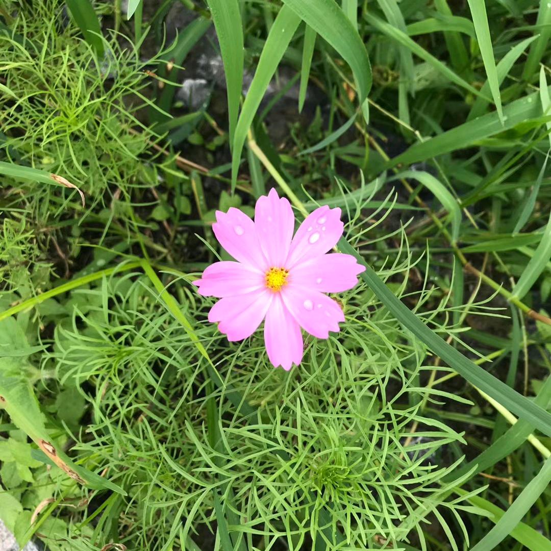 @回不到过去，看不到未来🎄🎄