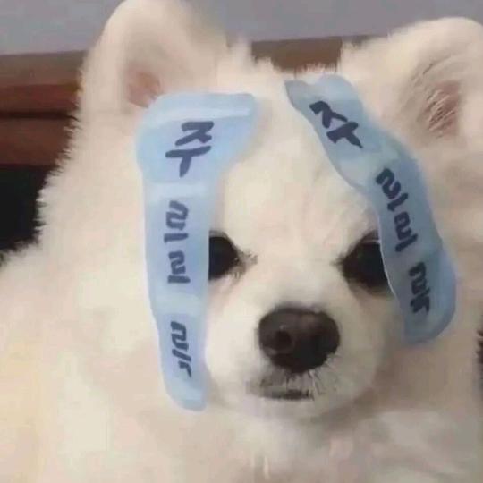 尖剌（燕瘾晚期）