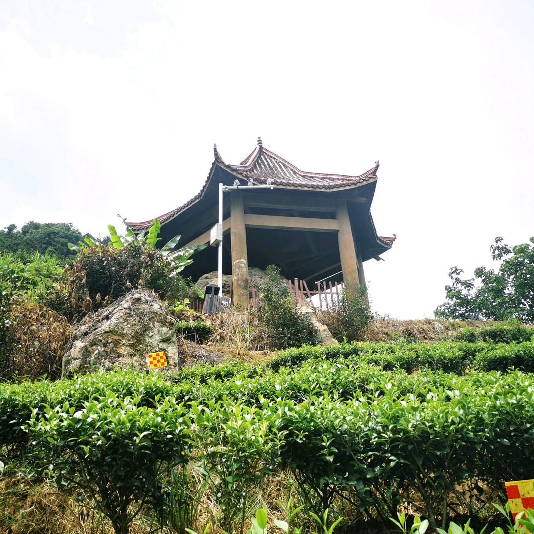福福