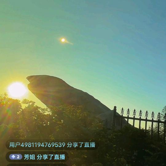 小鸟
