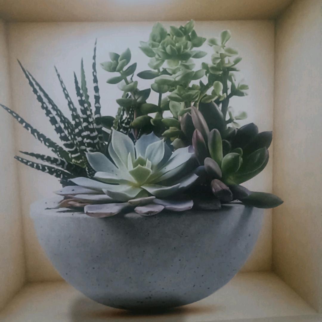 让心归零，微笑前行