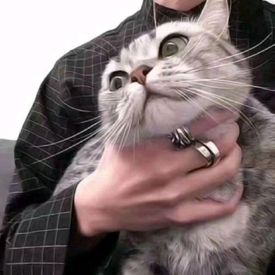 慢慢来