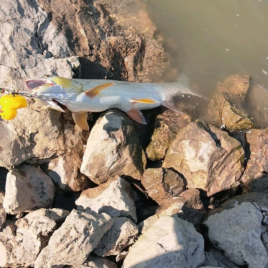 山间缭绕的炊烟