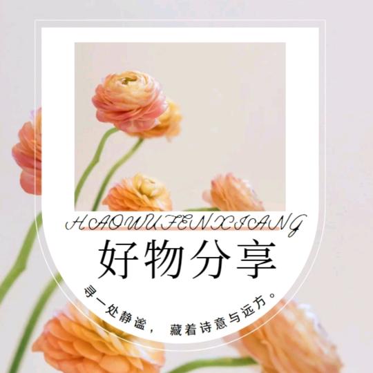 鸭子大妈