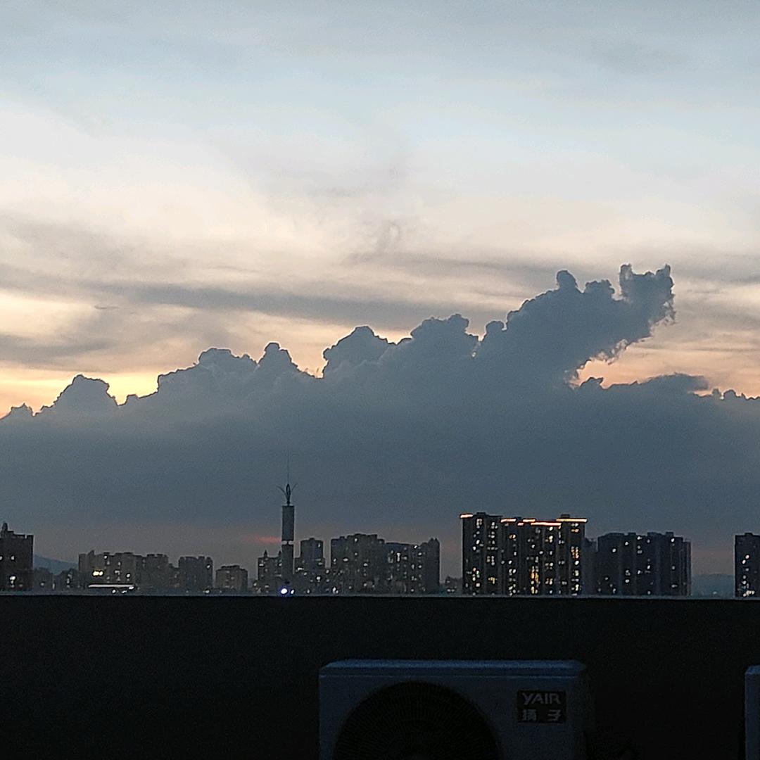 李政林