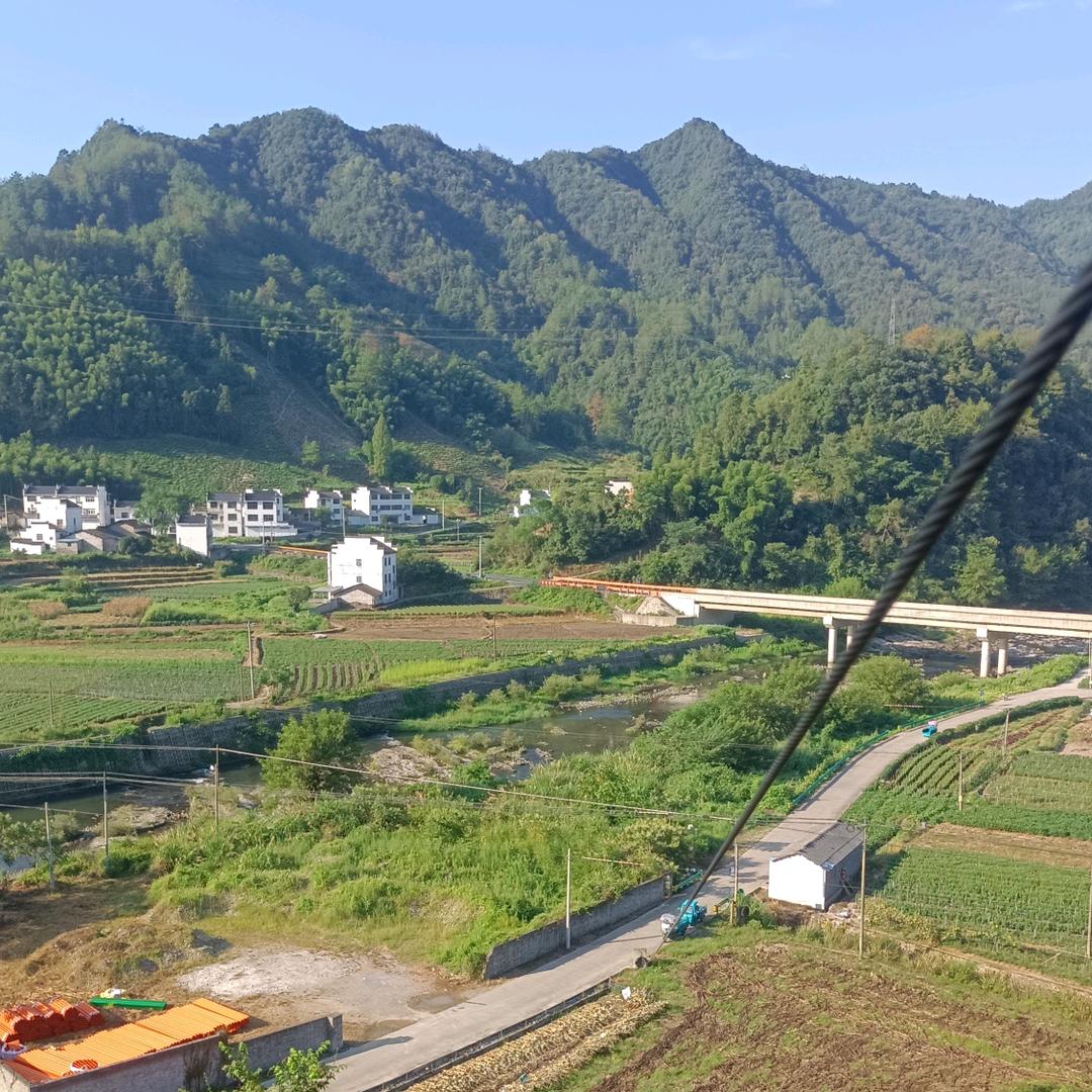 汪东海