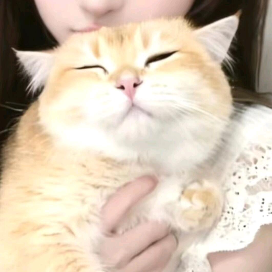big大茄子