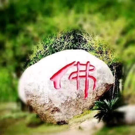 坚刚不夺志