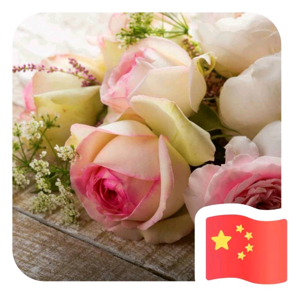 珊