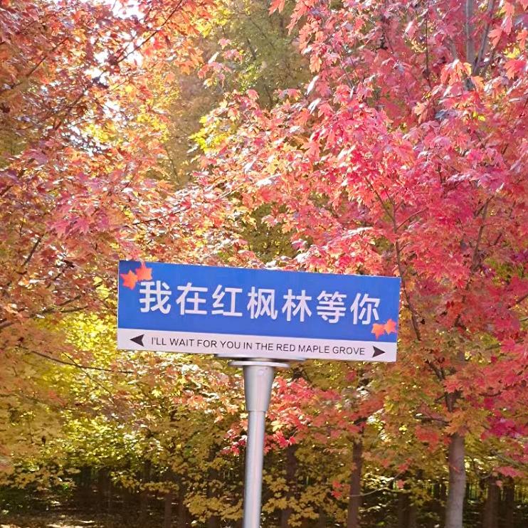 @顺风车老孙