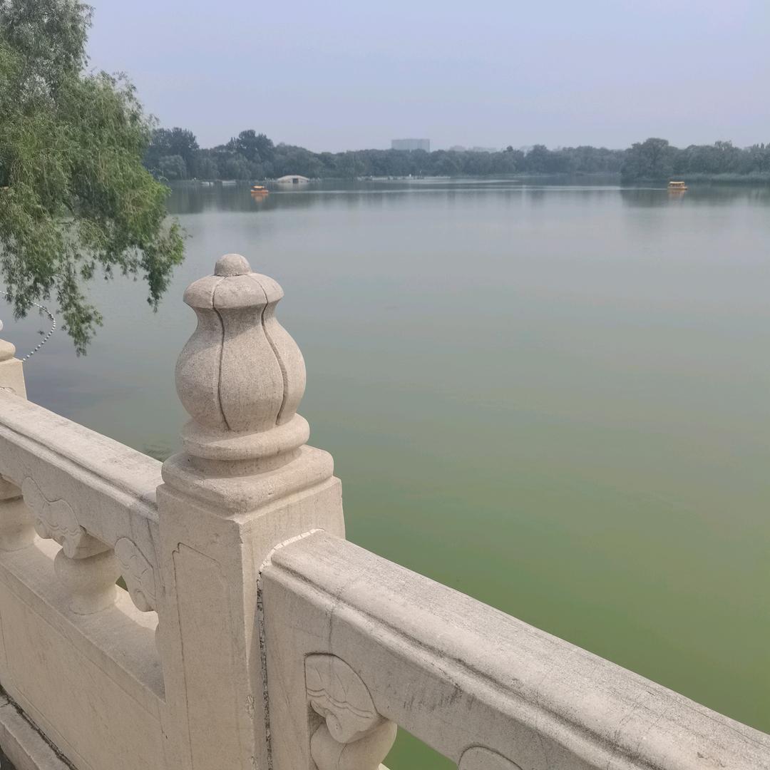 命不由天