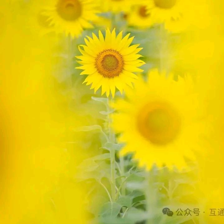 Six