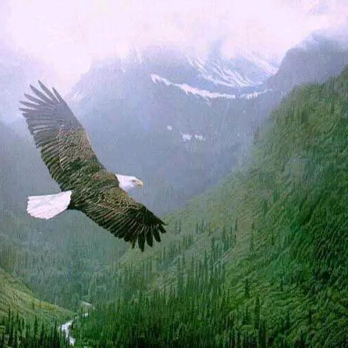 王后余生，与李相伴