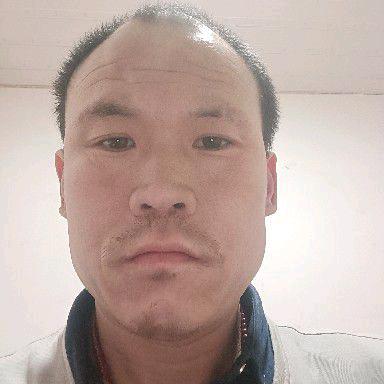 龙哥