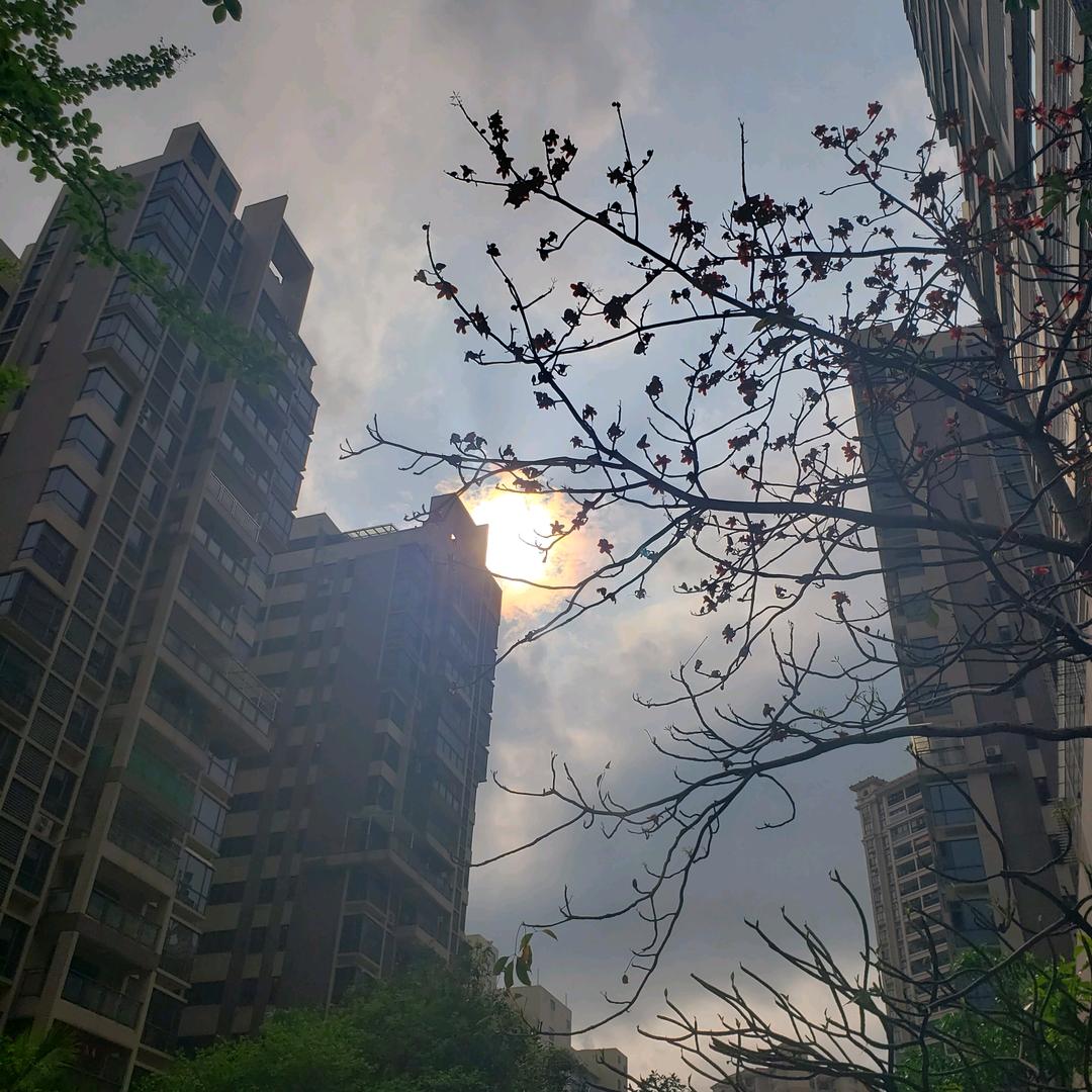 广州际奇商贸有限公司运营憨璺