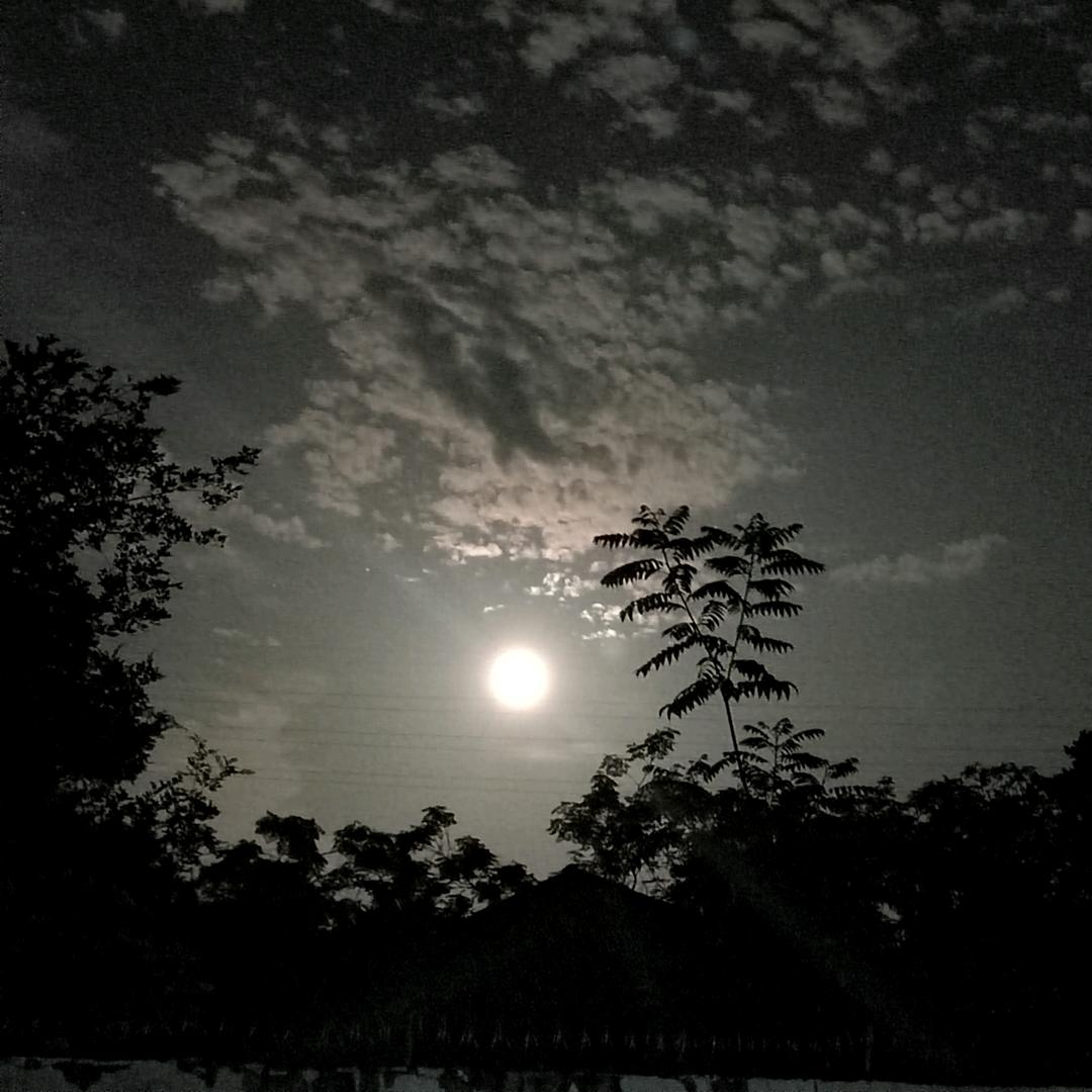 .可乐